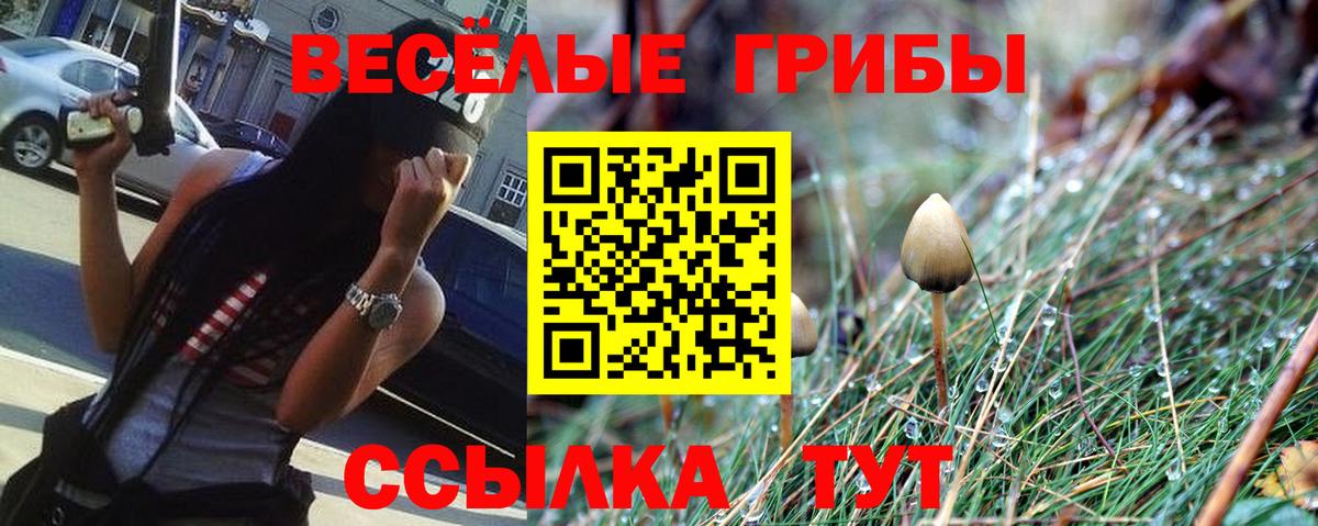 Стрежевой  Псилоцибиновые грибы MAGIC MUSHROOMS  Галлюциногенные грибы Cubensis  наркотики  Вход с VPN 