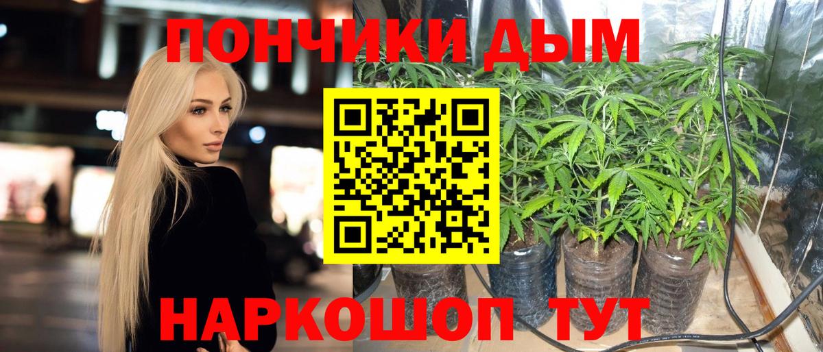 Шишки марихуана гибрид  Вход с VPN  Каннабис Bruce Banner  Стрежевой  МАРИХУАНА Bruce Banner 